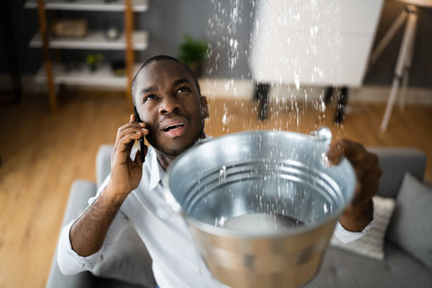 Best Local water damage restoration  in China, TX