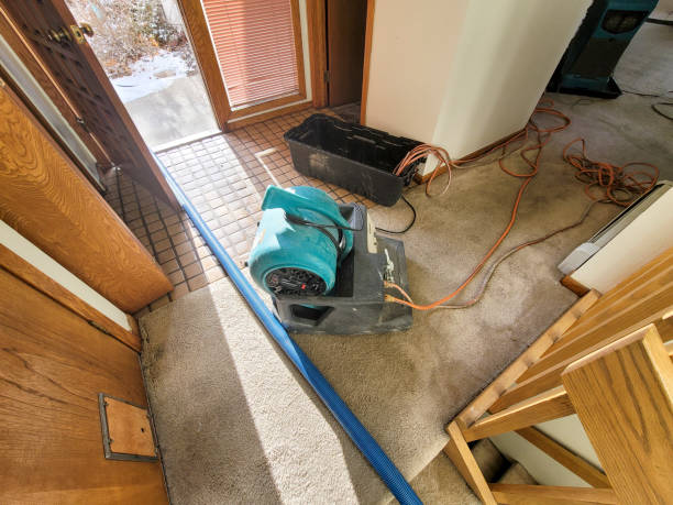 Water damage restoration process in China, TX