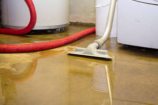 Best Water damage restoration near me  in China, TX