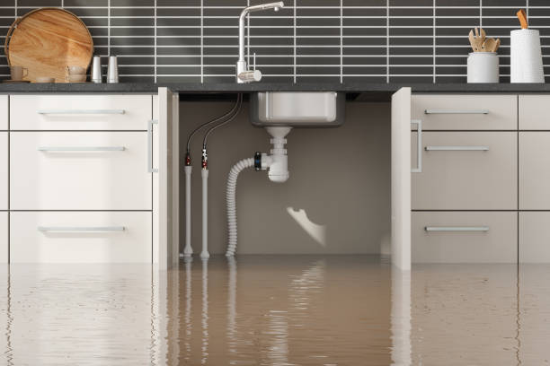 Best Basement water damage restoration  in China, TX