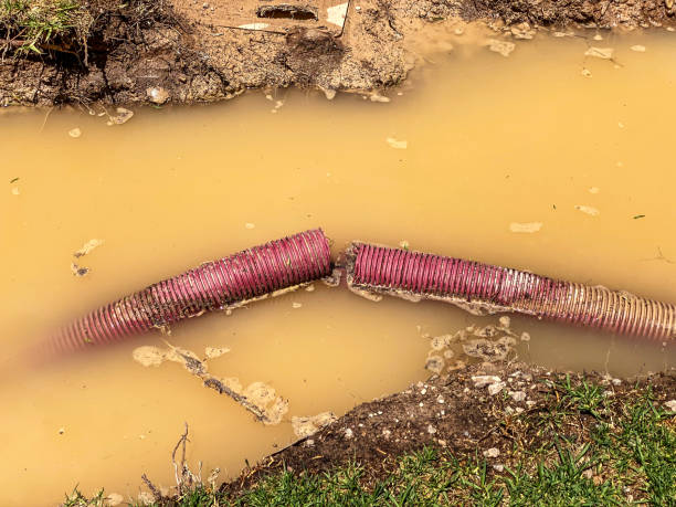 Best Water damage mitigation services  in China, TX