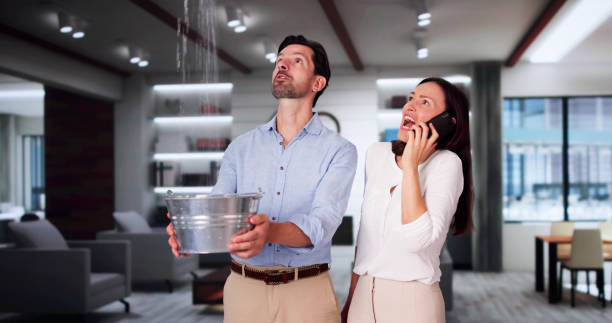 Best Flood damage cleanup  in China, TX